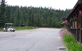 White Moose Lodge